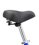 Progear Bikes Ride Ride Free 20" Kids Trike in Blue - Progear Bikes - OUT OF STOCK BIKPTRIKE20BU Buy online: Ride Free 20" Kids Trike in Blue - Progear Bikes Happy Active Kids Australia