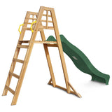Sunshine 2.2m Climb and Slide in Green - Lifespan Kids - OUT OF STOCK eta end Oct (preorder available now)