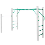 Lifespan Kids Play Centres Amazon Monkey Bars Only (2.5m) - Lifespan Kids 9347166063977 LKMB-AMA255 Buy online: Amazon Monkey Bars Only (2.5m) - Lifespan Kids Australia Happy Active Kids Australia