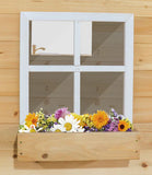 Lifespan Kids Play Houses Camira Cubby House - Lifespan Kids 9347166089892 LKCH-CAM2A-SET Buy online: Camira Cubby House - Lifespan Kids - Happy Active Kids Happy Active Kids Australia